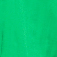 spirito.vteximg.com.br/arquivos/ids/199346/16BL0046-verde.jpg